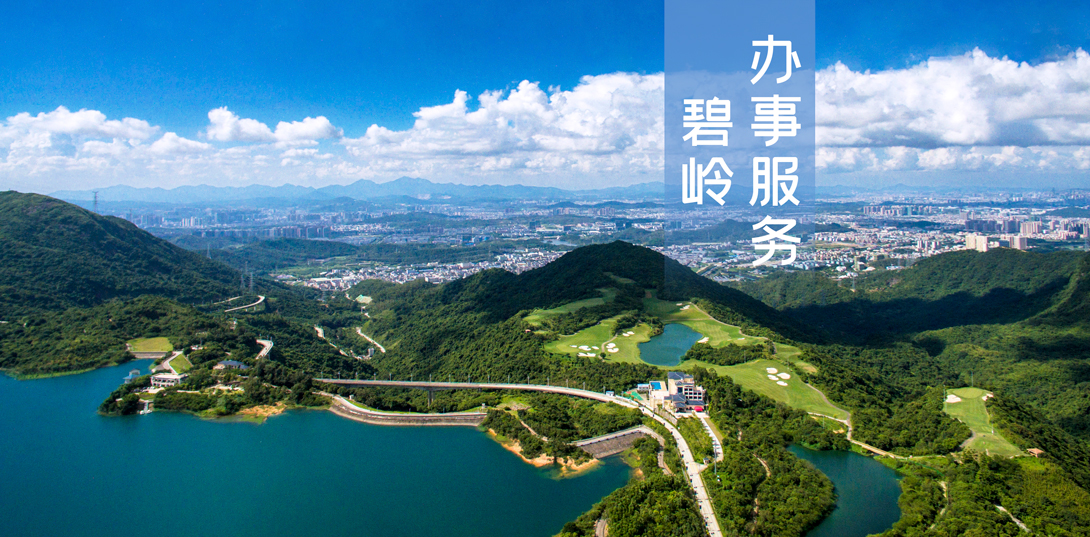 碧岭办事服务