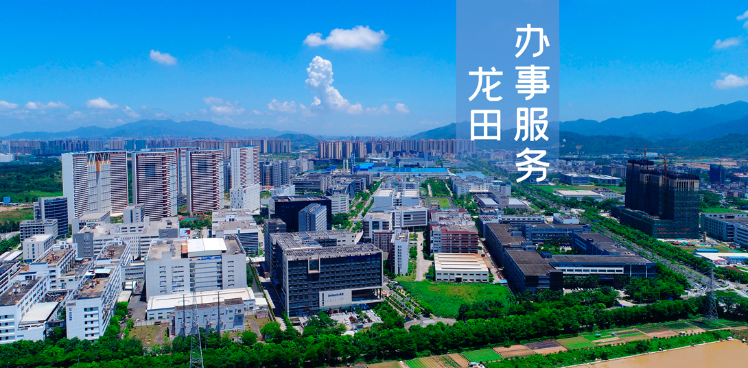 龙田办事服务