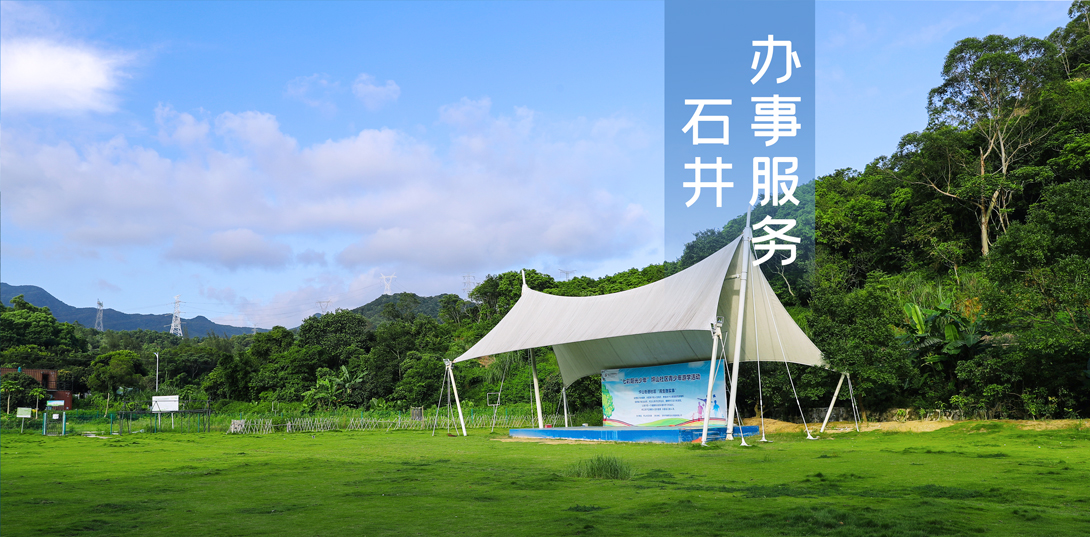 石井办事服务