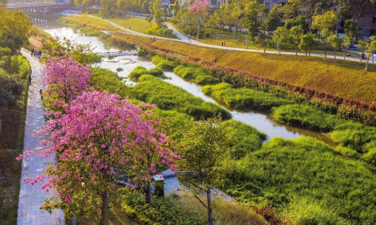 坪山河碧道.jpg