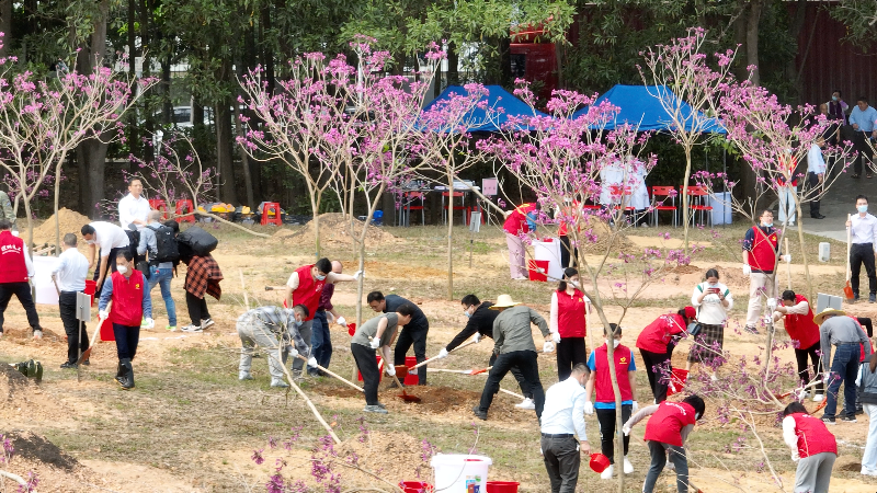 坪山区举行2023年全民义务植树暨林长植树活动
