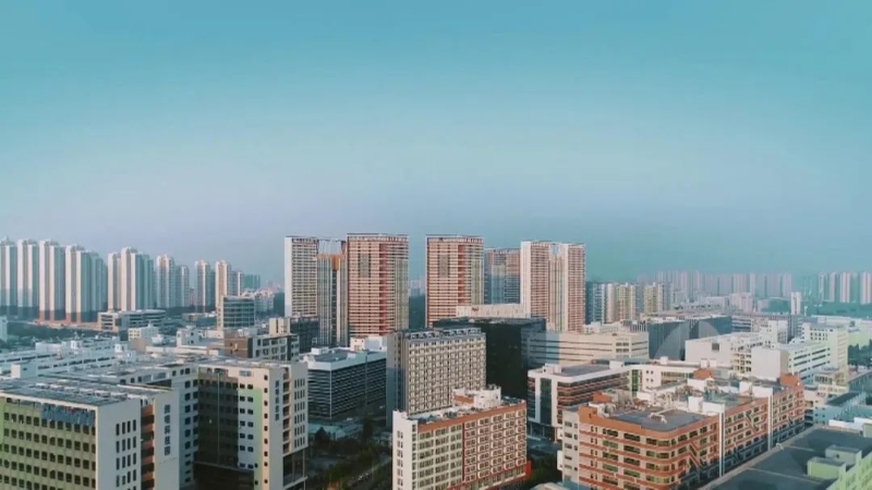 图7