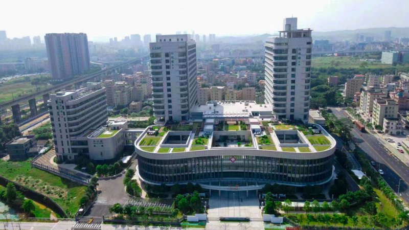 图10