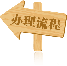 办理流程