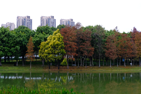 DSCF6697.JPG