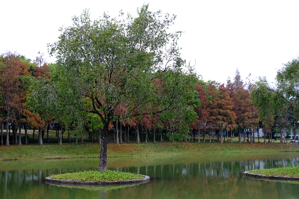 DSCF6695.JPG