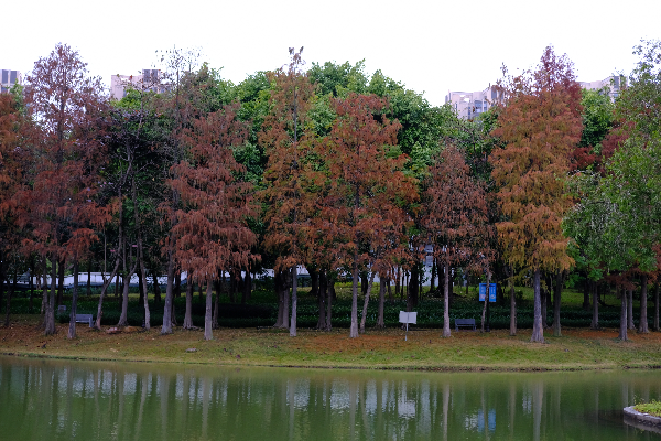 DSCF6690.JPG