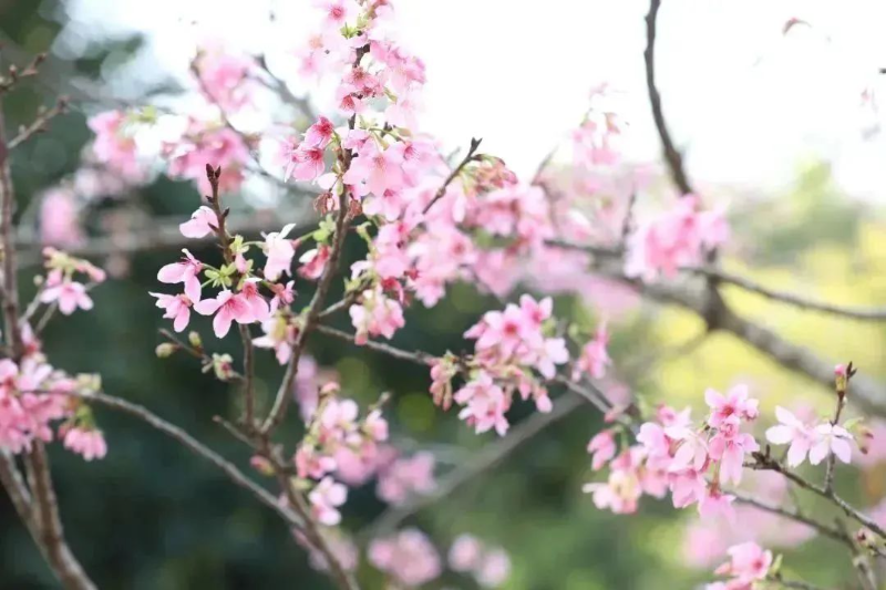 微信图片_20230227150339.jpg