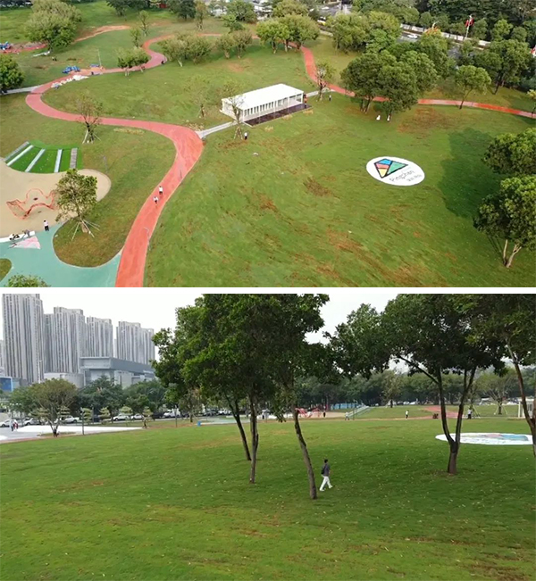 中心公园.jpg
