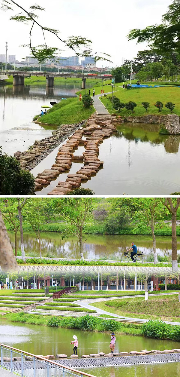 坪山河.jpg