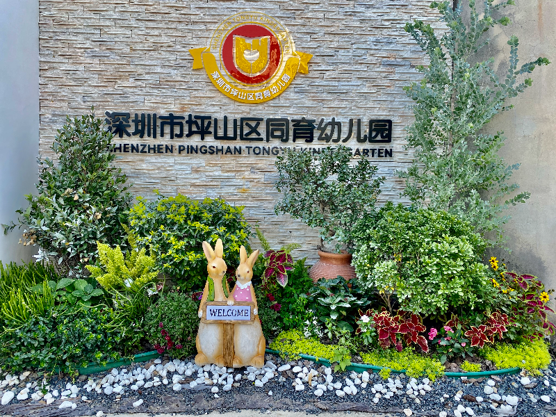 学校图片