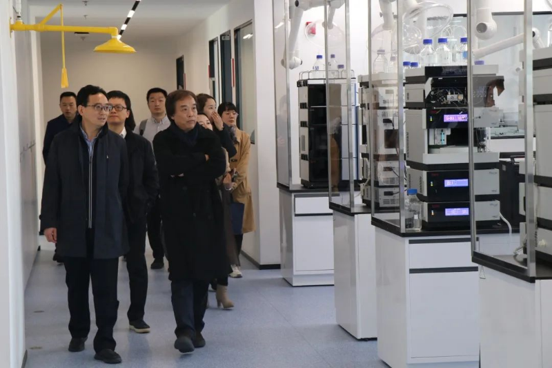 图片7
