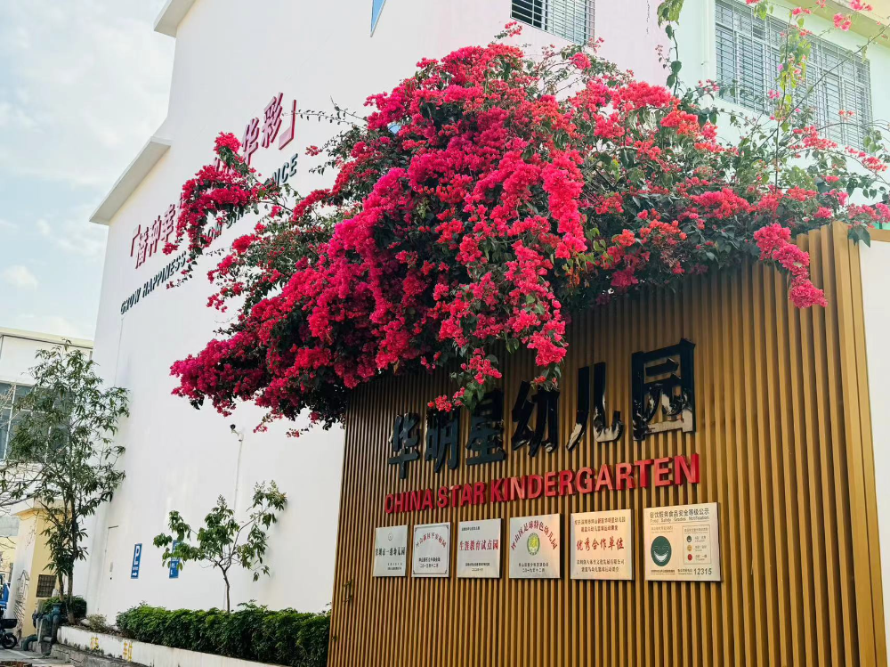 学校图片