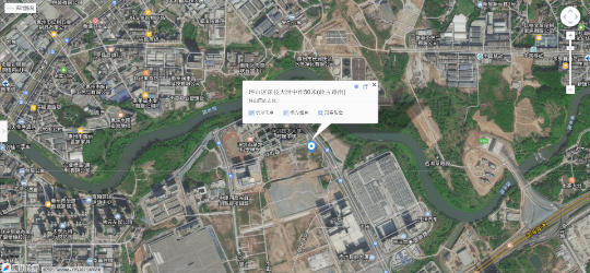 榕树1株（二级古树）