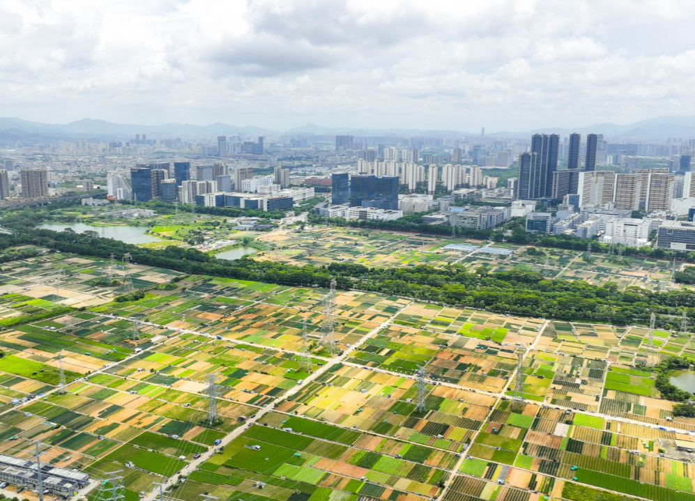 在深圳坪山，看见未来田园的模样