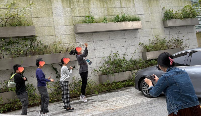 实操环节 实操环节