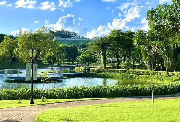 A glance at Pingshan District Central Park. A glance at Pingshan District Central Park.