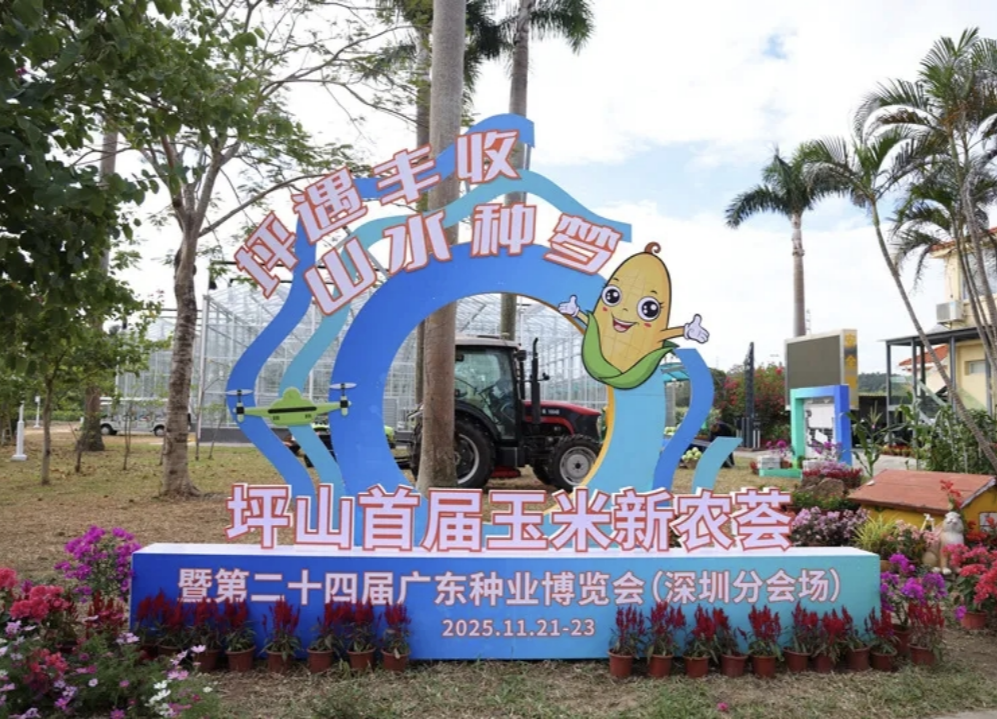 在都市深处播种未来 深圳坪山玉米新农荟勾勒现代田园新范式