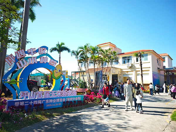The First Corn New Farmers’ Gathering and the Shenzhen subvenue of the 24th Guangdong Seed Industry Expo were held in Longtian Subdistrict, Pingshan District from Nov. 21 to 23. Photos from the organizers.