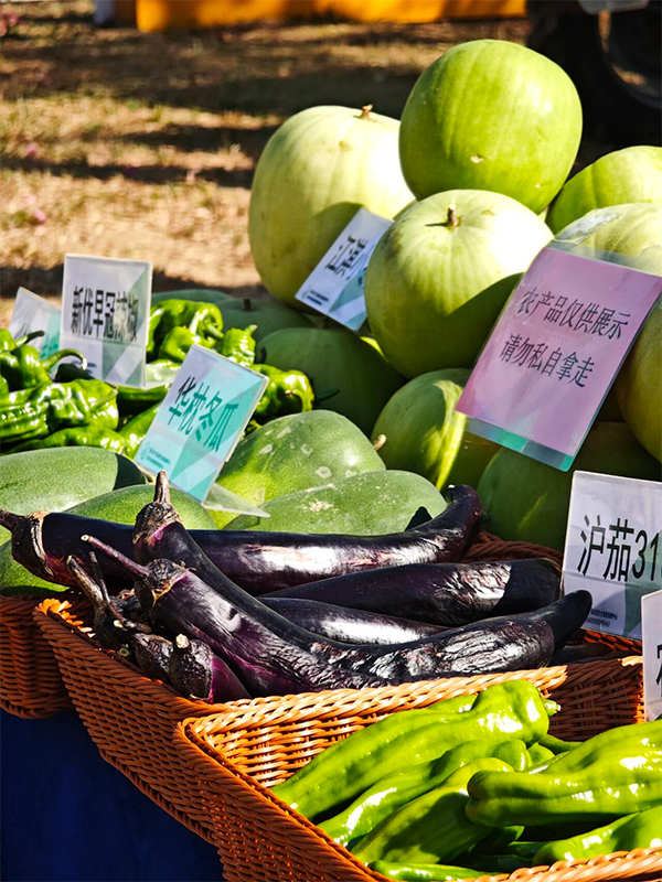 Vegetables on display.