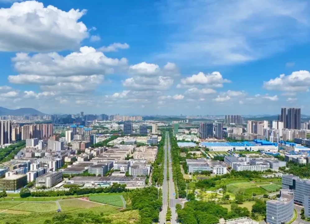 第二十四届政府网站调查研究总报告发布 深圳市坪山区蝉联全国第六