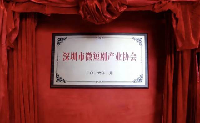 深圳市微短剧产业协会牌