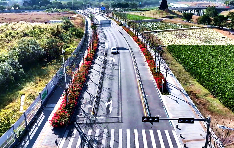 非机动车道覆盖率达89%！坪山破解“骑行难”