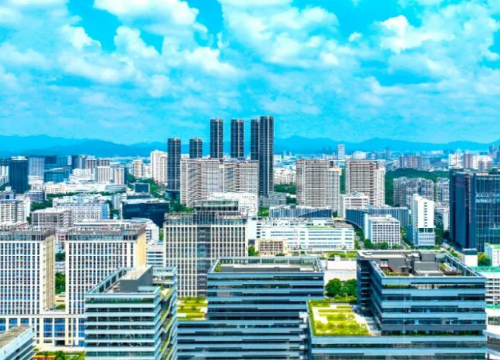 产业成“链”服务下沉，企业为坪山投出“信任票”