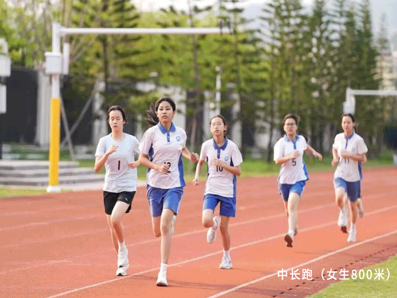 4.gif