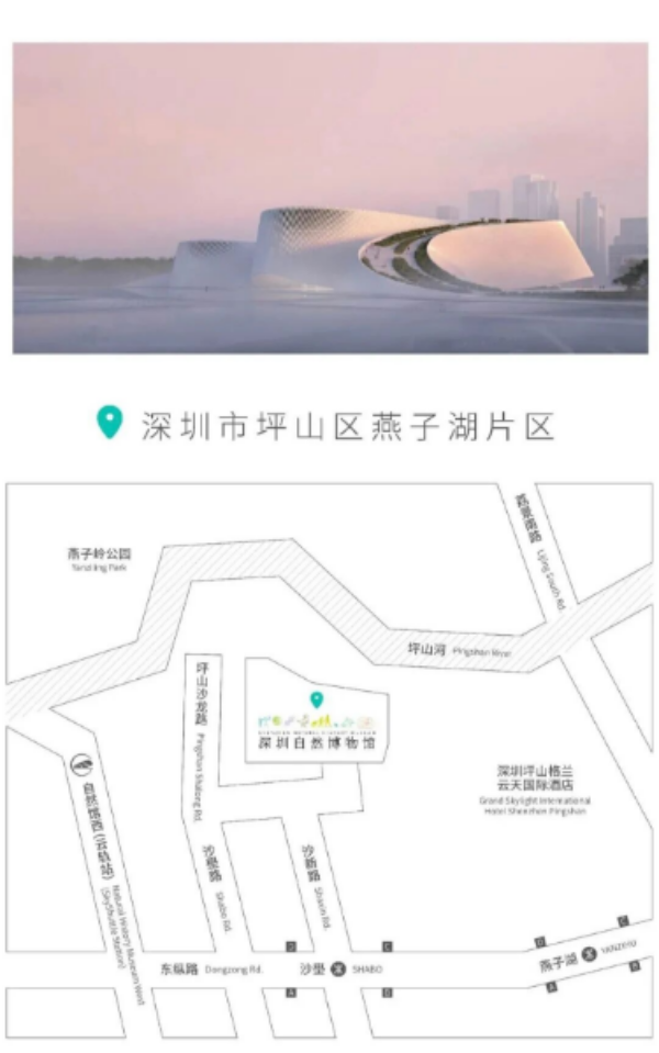 深圳自然博物馆.jpg