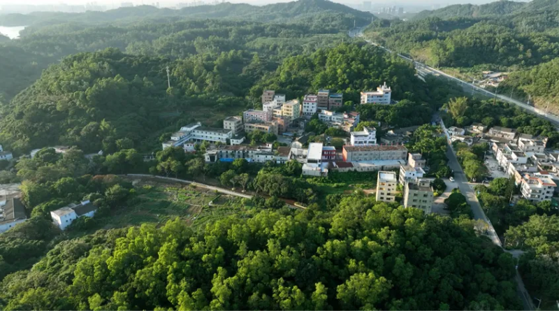 1.坪山.png