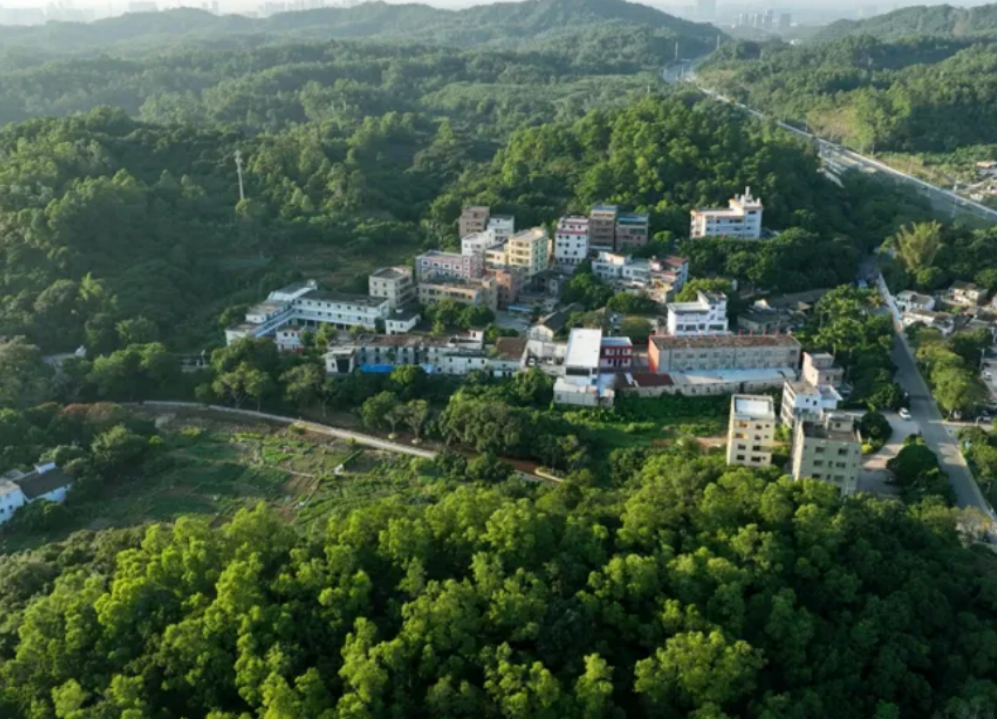 多点发力提质效！深圳坪山“百千万工程”添新景