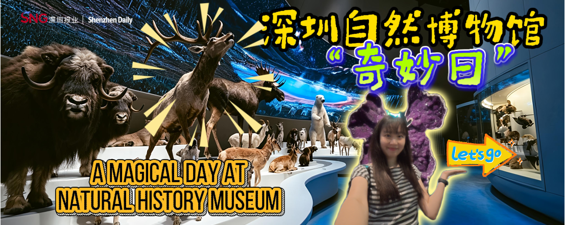 A magic day at Shenzhen Natural History Museum