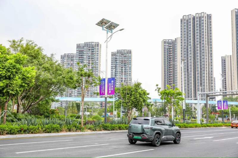 坪山街景 坪山街景