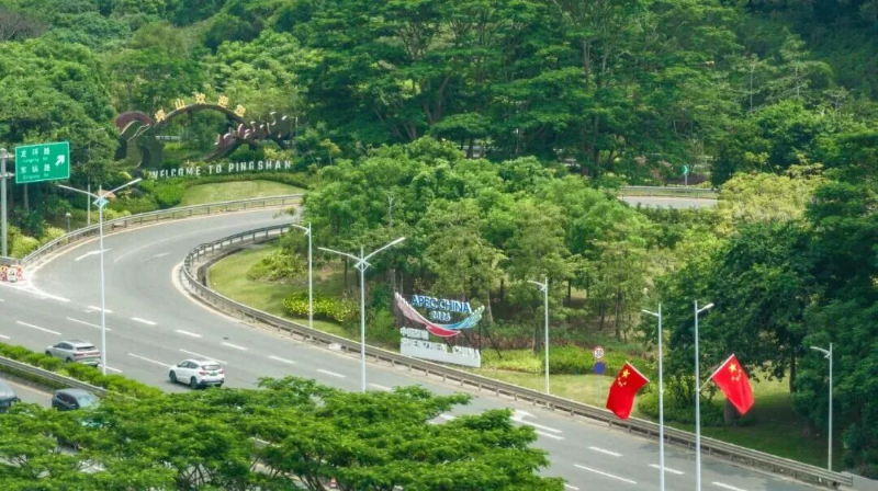 南坪快速下的龙坪路 1.南坪快速下的龙坪路.png