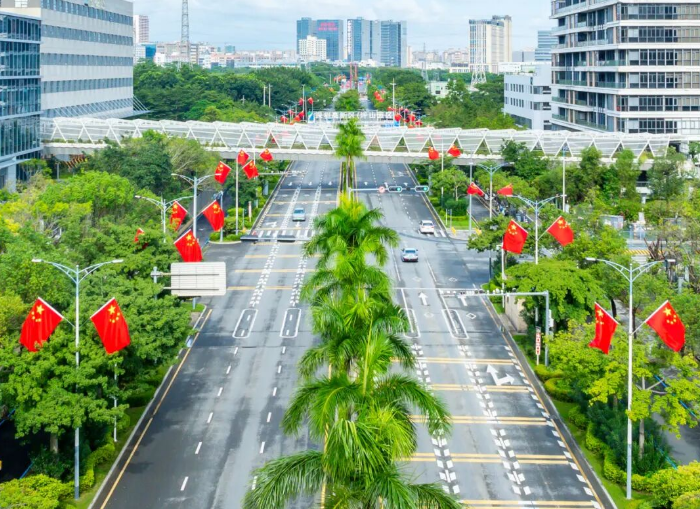 坪山街头 坪山街头