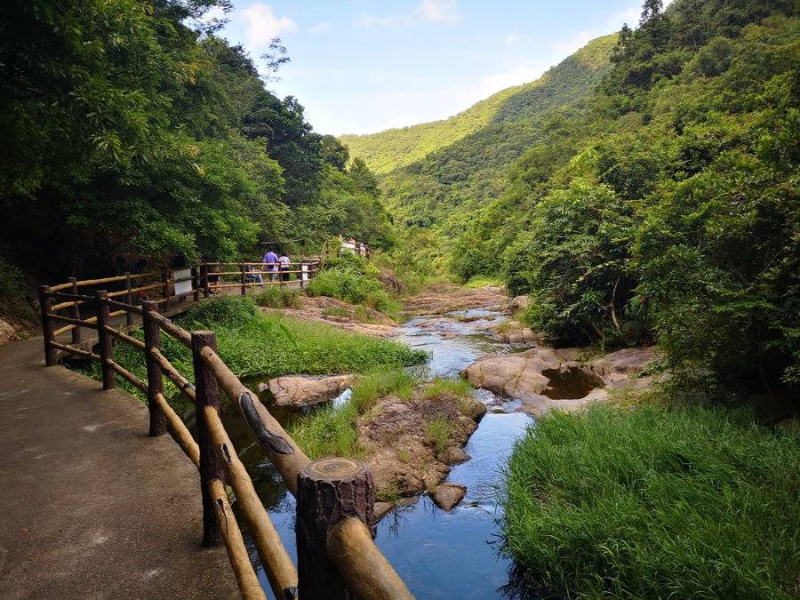 碧岭马峦山郊野公园图片