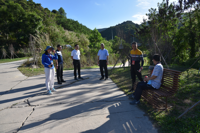 图1 一行人在桃花谷现场考察调研 图1 一行人在桃花谷现场考察调研