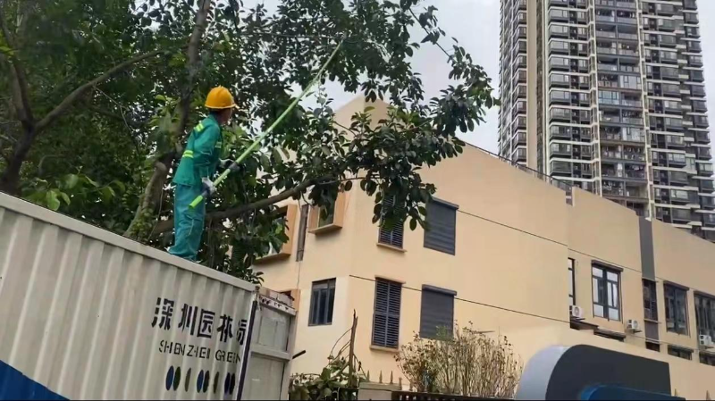 环卫工修剪 环卫工修剪